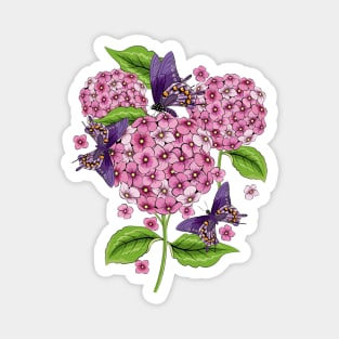 Hydrangea And Butterflies Magnet