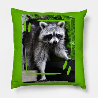 Cute Raccoon Pillow