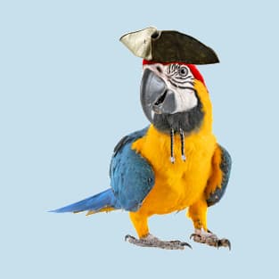 Parrot Of The Caribbean Bird Pirate Halloween Costume Gift T-Shirt