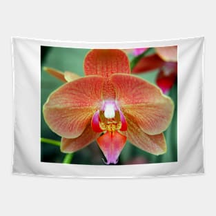 Orange Orchid Tapestry