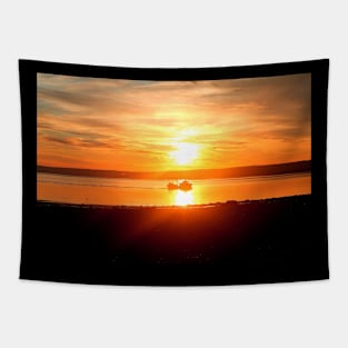 eye catching Tapestry