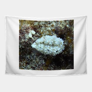 White and Purple Lettuce Sea Slug Tapestry