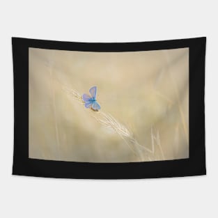 Common Blue Butterfly on Grass Tapestry