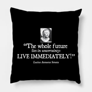 Seneca Stoic quote Pillow