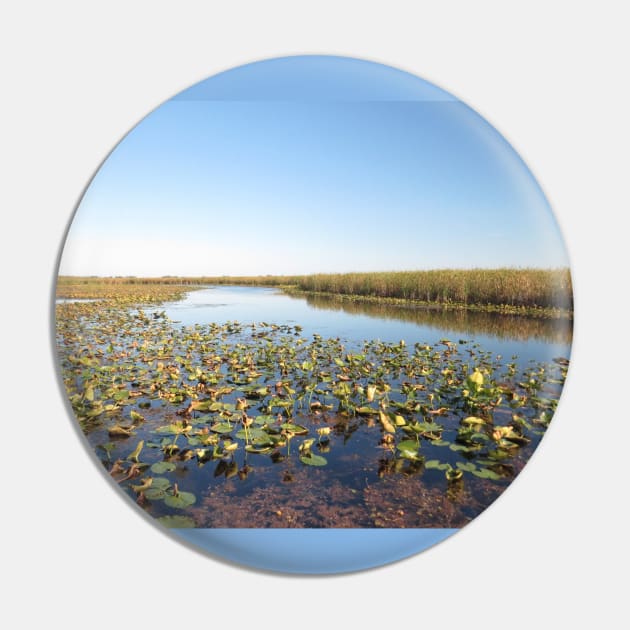 Wondrous Wetland Marsh - Point Pelee No.1 Pin by MaryLinH