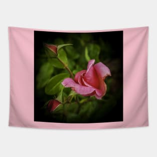 Pink Rose Tapestry