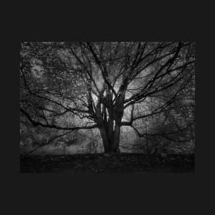 Dark tree T-Shirt