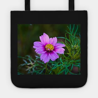 Daisy Marguerite Macro - Magenta Flower With Dark Green Foliage Tote