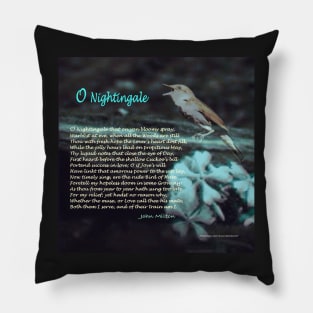 O Nightingale by John Milton Pillow