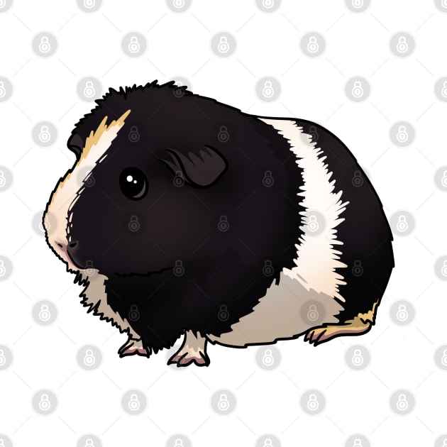 Tokyo the Guinea Pig by Kats_guineapigs