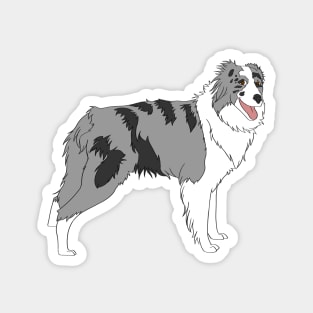 Border Collie Magnet