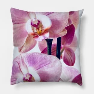 Pink orchid flower blossom, flower photography. Pillow