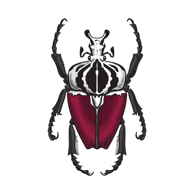Goliath beetle by katerinamk