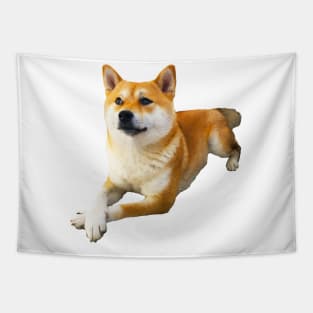 Lilly the Shiba Inu Cross Legged Waiting Tapestry