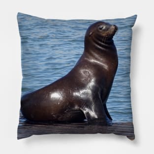 Seal(ion) of Approval Pillow