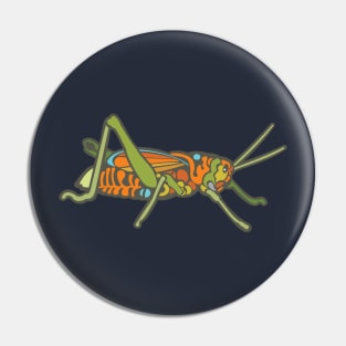 Colorful Grasshopper Pin