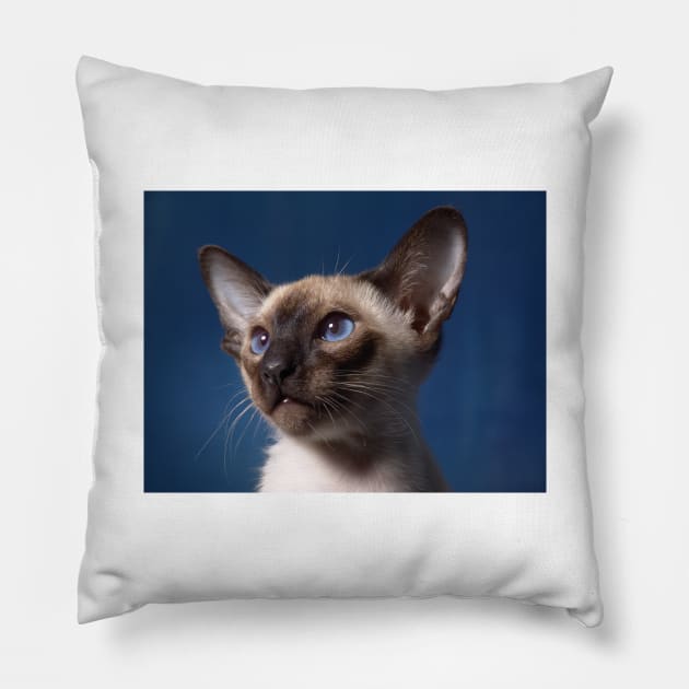 Siamese cat Pillow by kawaii_shop