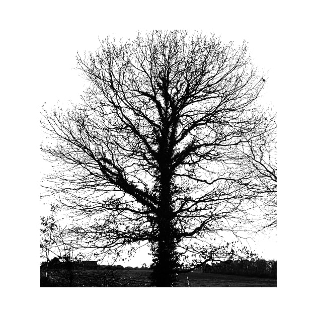 Black tree empty  in winter by robelf