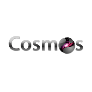 Cosmos T-Shirt