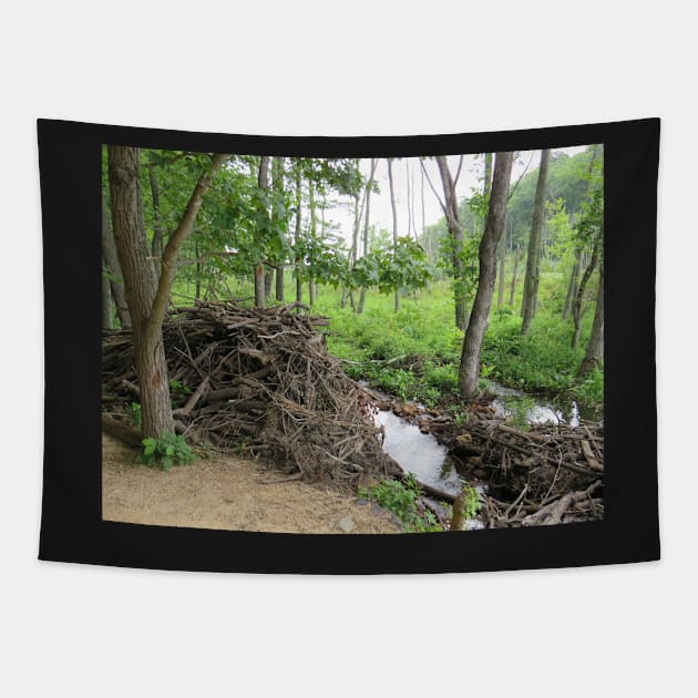 Beaver dam and den Tapestry by ToniaDelozier