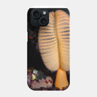 Orange Sea Pen With Quillback Rockfish Phone Case