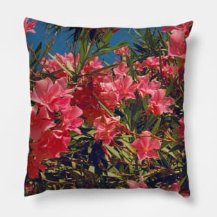 Pretty Pink Flowers Photography design with blue sky nature lovers Pillow