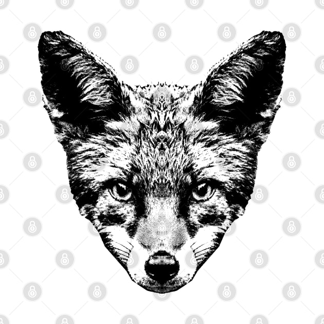 Fox / Head / Face by R LANG GRAPHICS