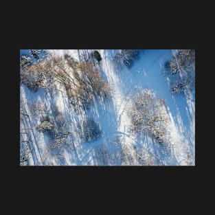 Early winter from above T-Shirt