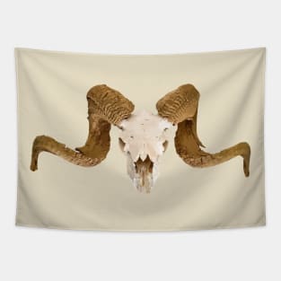 Ram's Skull Skeleton Tapestry