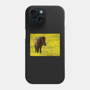 shetland pony in a meadow of butter cups Phone Case