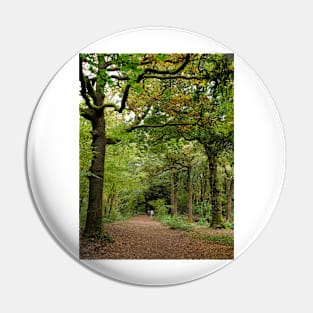 Young couple walk in the woods Pin