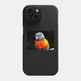 Rainbow Lorikeet Phone Case