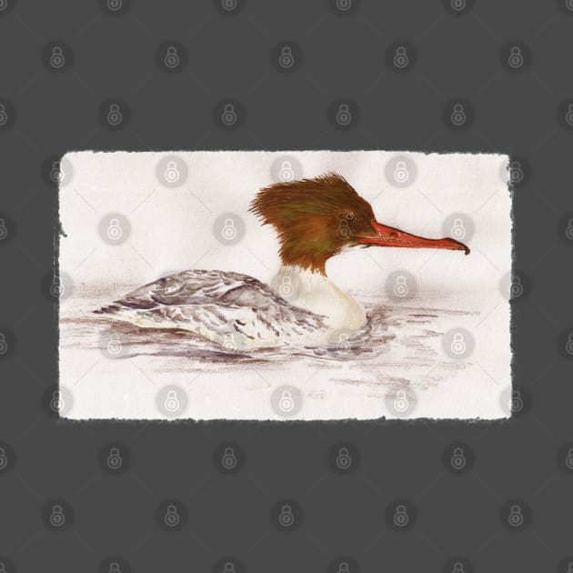 Goosander by jellygnomes