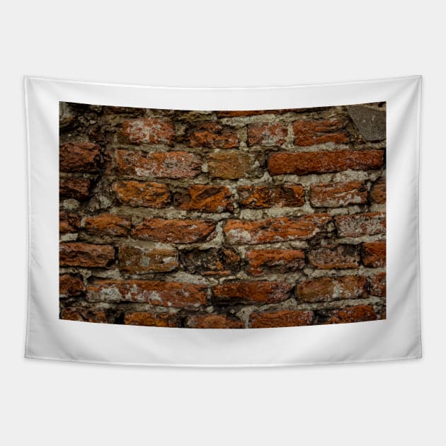 Bricks in the wall Tapestry by arc1