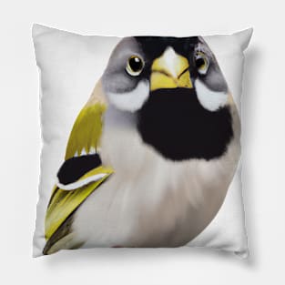 Cute Finch Drawing Pillow