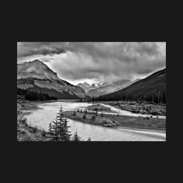 Athabasca River 2 by charlesk