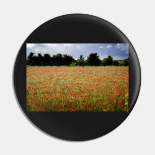 Poppy Field Pin