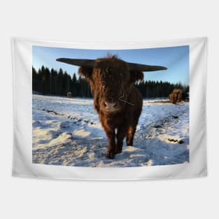 Scottish Highland Cattle Bull 2256 Tapestry