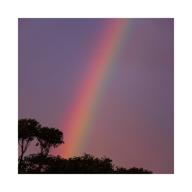 Rainbow Against Purple Sky by Geoff79