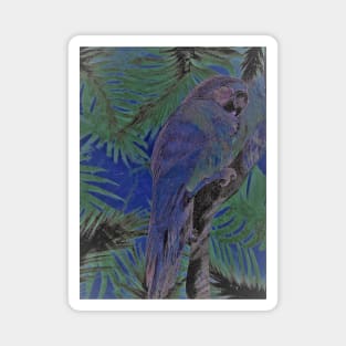 BLUE MACAW TROPICAL POSTER DECO ART PRINT PARROT VINTAGE DESIGN Magnet