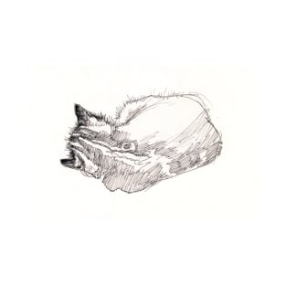 Sleeping kitten, original ink drawing T-Shirt