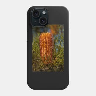 Banksia Spinulosa - Leura NSW Phone Case