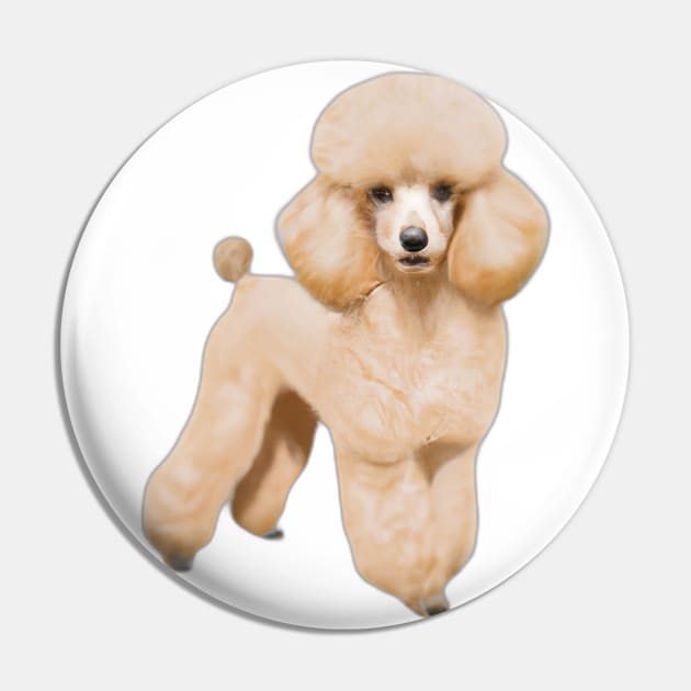 Cute Poodle Drawing Pin by Play Zoo