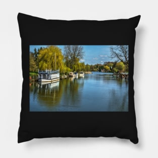 The River Thames At Streatley Pillow