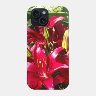 Asiatic Lilies Phone Case