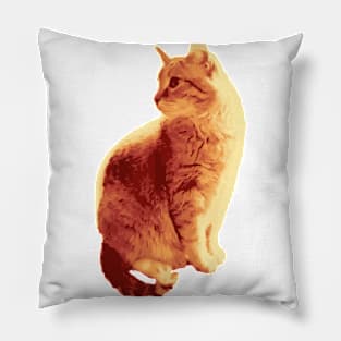 Orange Cat Pillow