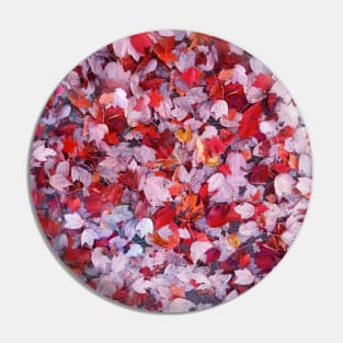 Autumn Leaves red purple orange and white nature pretty delicate Pin