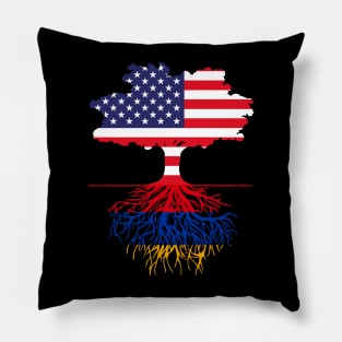 American Grown Armenian Roots Pillow