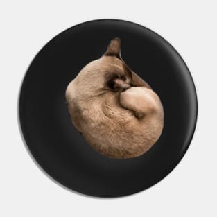 Sleeping cat Pin