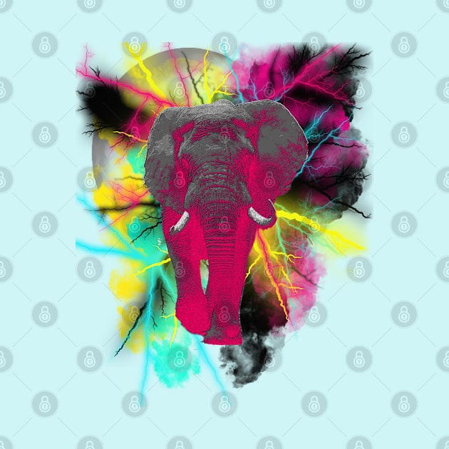 Elephant Explosion by By Diane Maclaine